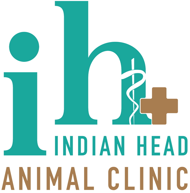 Indian Head Animal Clinic logo