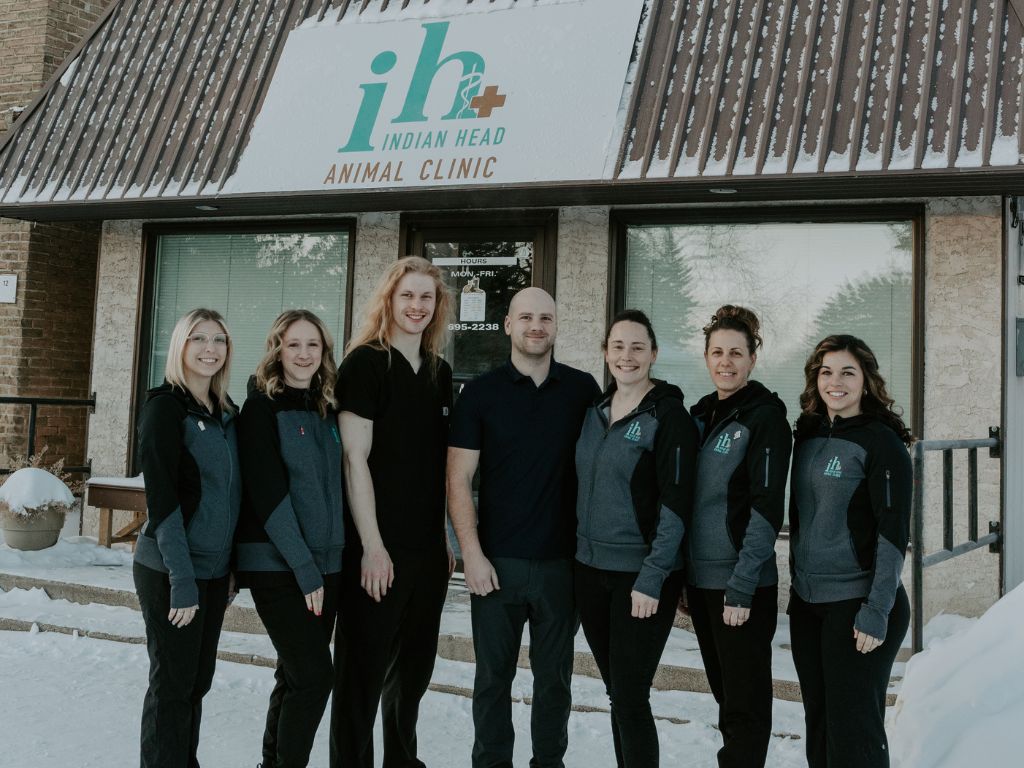 our team image Veterinary team at Indian Head Animal Clinic